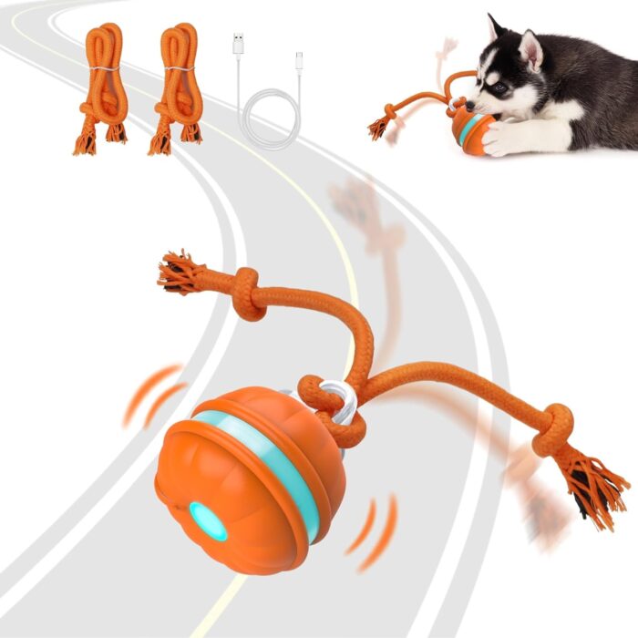 interactive dog toys