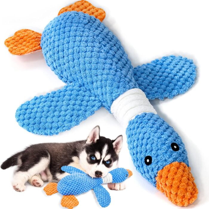 dog toys for aggressive chewers